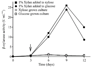 Image for - Induction and Repression of β-Xylanase of Thermomyces lanuginosus TISTR 3465