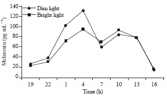Image for - Effect of Bright Light on Shift Work Nurses in Hospitals