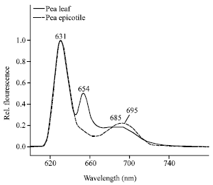 Image for - Protochlorophyllide Spectral Forms