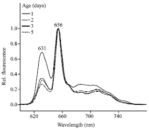 Image for - Protochlorophyllide Spectral Forms