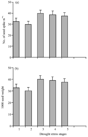 Image for - Responses of Different Wheat Genotypes to Drought Stress Applied at  Different Growth Stages