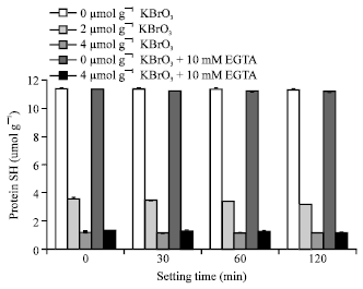 Image for - Effect of KBrO3 on Gel-forming Properties of Walleye Pollack Surimi through Setting with or without Transglutaminase Inhibitor
