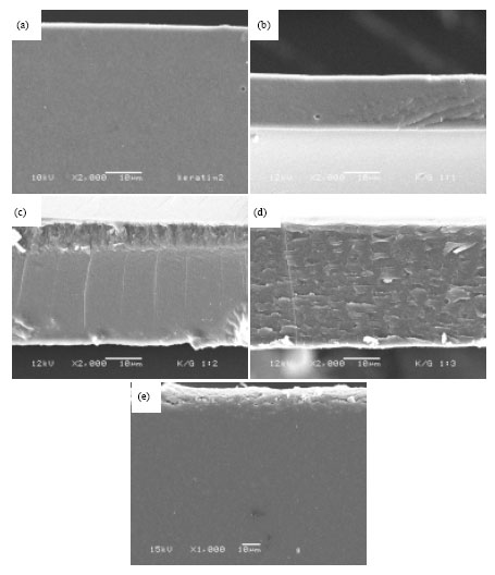 Image for - Preparation and Characterization of Hair Keratin/Gelatin Blend Films