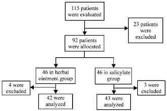 Image for - Comparing Analgesic Effects of a Topical Herbal Mixed Medicine with Salicylate in Patients with Knee Osteoarthritis