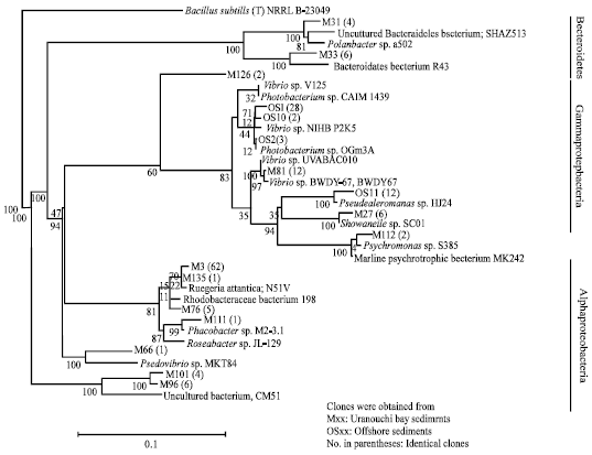 Image for - Novel Chitinase Genes from Metagenomic DNA Prepared from Marine Sediments in Southwest Japan