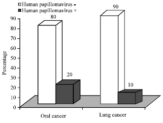 Image for - Human Papillomavirus Infection in Lung vs. Oral Squamous Cell Carcinomas: A Polymerase Chain Reaction Study