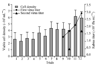 Image for - High Vero Cell Density and Rabies Virus Proliferation on Fibracel Disks Versus Cytodex-1 in Spinner Flask