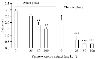 Image for - Effects of Papaver rhoeas (L.) Extract on Formalin-induced Pain and Inflammation in Mice