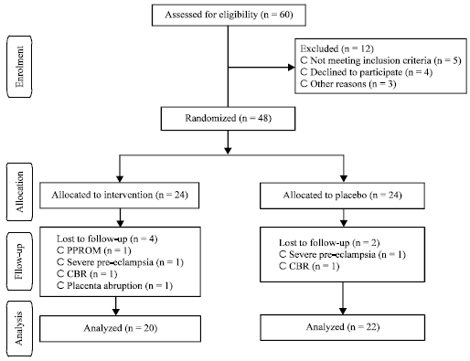 Image for - A Randomized Controlled Clinical Trial Investigating the Effect of Calcium Supplement Plus Low-dose Aspirin on hs-CRP, Oxidative Stress and Insulin Resistance in Pregnant Women at Risk for Pre-eclampsia