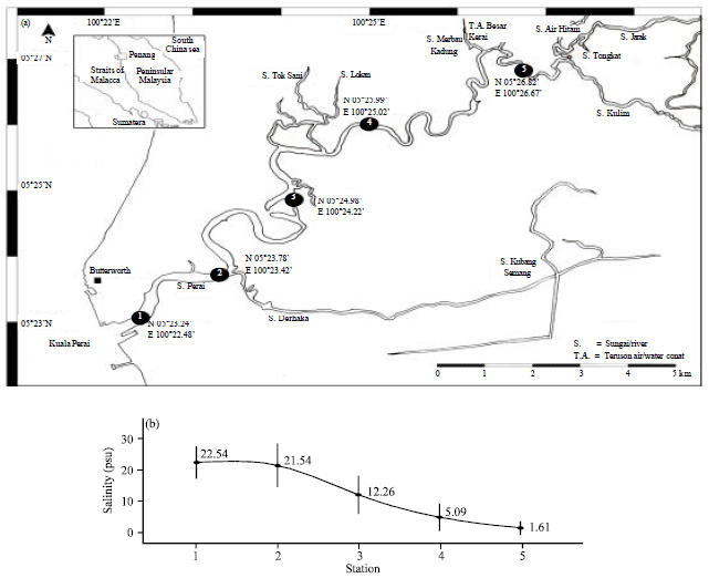 Image for - Spatial Distribution of Copepods along the Salinity Gradient of Perai River Estuary, Penang, Malaysia