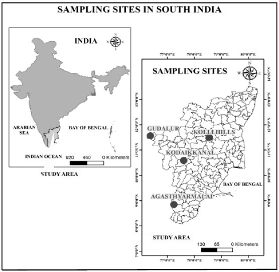 Image for - Biodiversity of Microalgae in Western and Eastern Ghats, India
