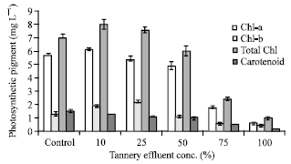 Image for - Heavy Metal Induced Antioxidant Defense System of Green Microalgae and its Effective Role in Phycoremediation of Tannery Effluent