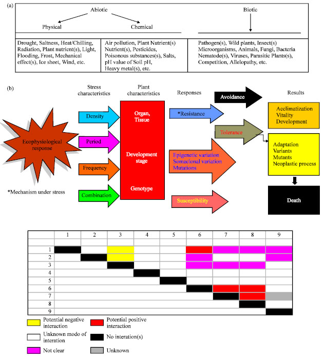 Image for - Ecophysiological Responses to Stresses in Plants: A General Approach