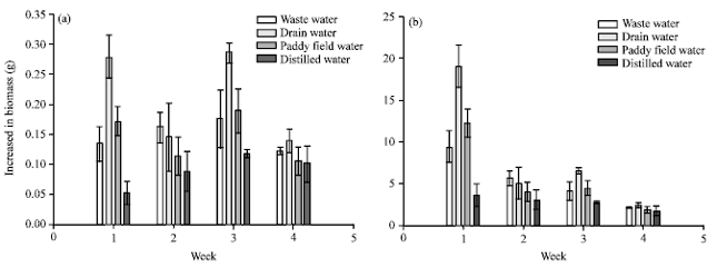 Image for - Azolla pinnata Growth Performance in Different Water Sources