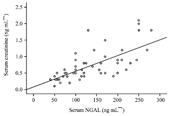 Image for - Serum Neutrophil Gelatinase-associated Lipocalin as a Predictor of Acute Kidney Injury in Critically-ill Neonates
