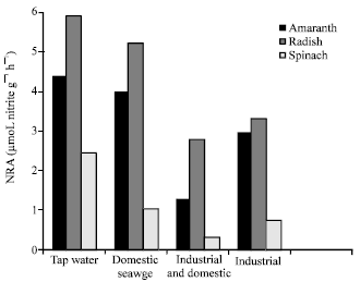 Image for - Effect of Sewage Irrigation on Nitrate Accumulation and Nitrate Reductase Activity in Leafy Vegetables