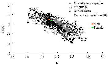 Image for - Length-weight Relationship of Mugil cephalus (Linnaeus 1758) in  Vellar Estuary, Southeast coast of India