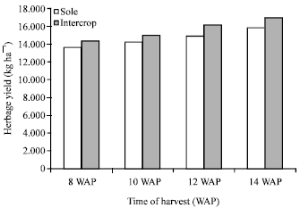 Image for - Effect of Intercropping Panicum maximum var. Ntchisi and Lablab  purpureus on the Growth, Herbage Yield and Chemical Composition of Panicum maximum var. Ntchisi at Different Harvesting Times