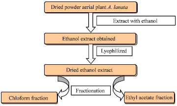 Image for - In vitro Anti Cancer Activity of Ethanol Extract Fractions of Aerva  lanata L.