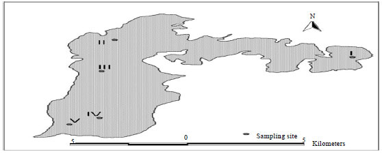 Image for - Relation Between Physico-chemical Limnology and Crustacean Community in Wular Lake of Kashmir Himalaya