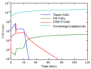 Image for - Mathematical Modeling of The Effect of Boosting Tumor Infiltrating Lymphocyte in Immunotherapy