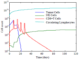 Image for - Mathematical Modeling of The Effect of Boosting Tumor Infiltrating Lymphocyte in Immunotherapy
