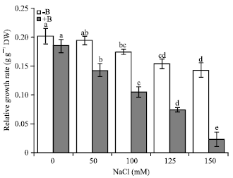 Image for - Antioxidative Responses in Calli of Two Populations of Acanthophyllum laxiusculum With and Without B-chromosomes under Salt Stress