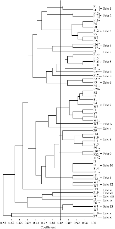 Image for - Genetic Diversity of Escherichia coli Isolated from Ducks and the  Environment Using Enterobacterial Repetitive Intergenic Consensus