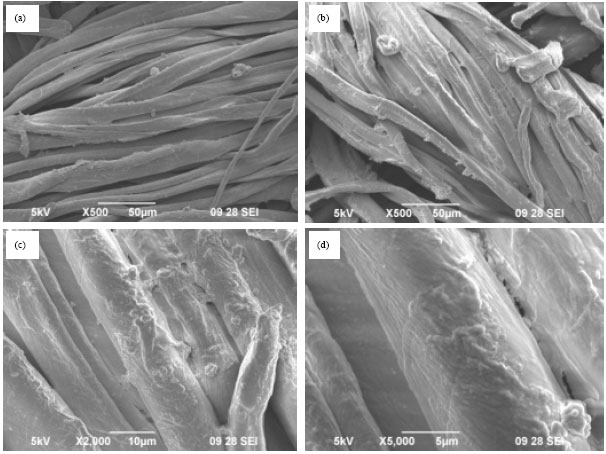 Image for - Synthesis of Carboxymethyl Chitosan and Coating on Wound Dressing Gauze for Wound Healing