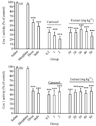 Image for - Hydroalcoholic Extract of Rosemary (Rosmarinus officinalis L.) and its Constituent Carnosol Inhibit Formalin-induced Pain and Inflammation in Mice