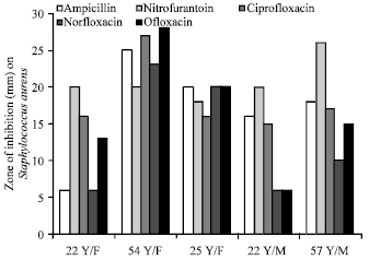 Image for - In vitro Antibacterial Activity and Stability of Avicennia marina  against Urinary Tract Infection Pathogens at Different Parameters
