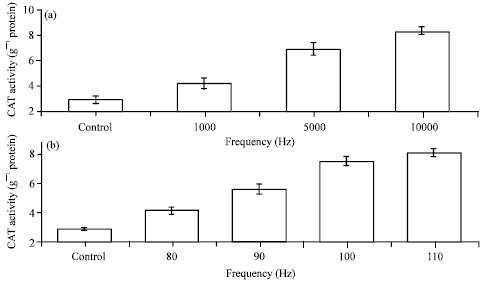 Image for - Growth and Physiological Characteristics of E. coli in Response to the Exposure of Sound Field