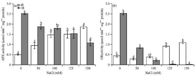 Image for - Antioxidative Responses in Calli of Two Populations of Acanthophyllum laxiusculum With and Without B-chromosomes under Salt Stress