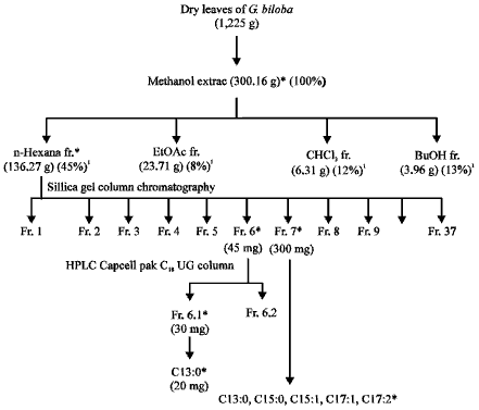 Image for - Potent α-Glucosidase Inhibitors Isolated from Ginkgo biloba  Leaves