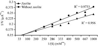 Image for - Activity and Stability of Uricase from Lactobacillus plantarum Immobilizated on Natural Zeolite for Uric Acid Biosensor