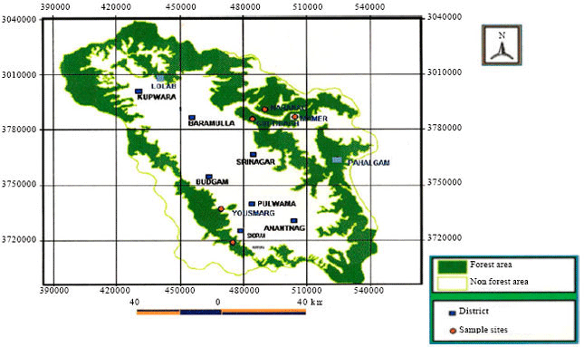 Image for - Ectomycorrhizal Diversity Associated with Cedrus deodara and Pinus wallichiana in the Kashmir Himalaya, India