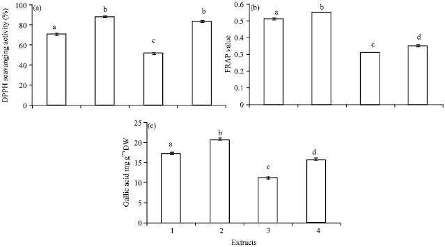 Image for - Antioxidant Activity of Gilan Mentha pulegium During Growth