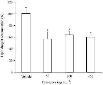 Image for - Effects of Fenugreek Seeds on Adipogenesis and Lipolysis in Normal and Diabetic Rats
