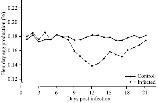 Image for - Egg Drop Syndrome-76 (EDS-76) in Japanese Quails (Coturnix coturnix japonica): An Experimental Study Revealing Pathology, Effect on Egg Production/Quality and Immune Responses