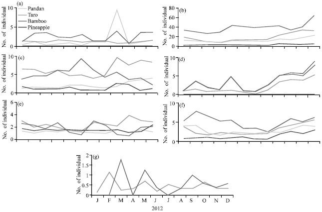 Image for - Fluctuation of Diptera Larvae in Phytotelmata and Relation with Climate Variation  in West Sumatra Indonesia