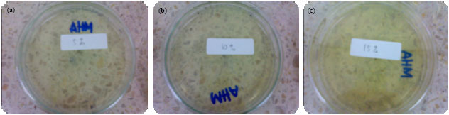 Image for - Morinda citrifolia L. Leaf Extract as Antibacterial Salmonella typhimurium to Increase Productivity of Quail (Coturnix coturnix japonica)