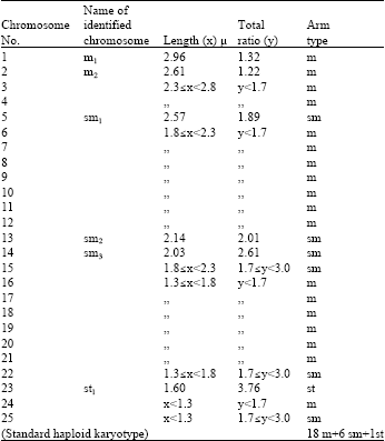 Image for - Chromosomal Studies and Quantitative Karyotypic Analysis of Rohu, Labeo rohita