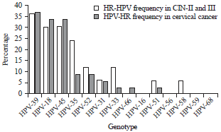 Image for - Molecular Epidemiology of High-Risk Human Papillomavirus in High-Grade Cervical Intraepithelial Neoplasia and in Cervical Cancer in Parakou, Republic of Benin