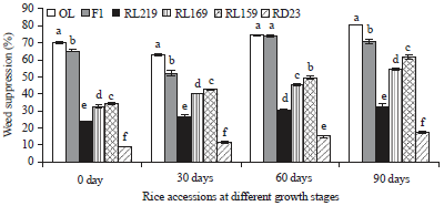 Image for - Competitive and Allelopathic Effects of Wild Rice Accessions (Oryza longistaminata) at Different Growth Stages