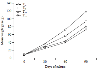 Image for - Influence of Different Stocking Densities on Growth, Feed Efficiency and Carcass Composition of Bonylip Barb (Osteochilus vittatus Cyprinidae) Fingerlings