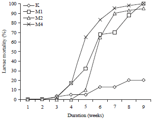Image for - Effectiveness of Metarhizium anisopliae and Entomopathogenic Nematodes to Control Oryctes rhinoceros Larvae in the Rainy Season