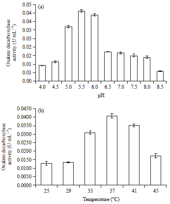 Image for - Effect of pH and Temperature on Bacillus subtilis FNCC 0059 Oxalate Decarboxylase Activity