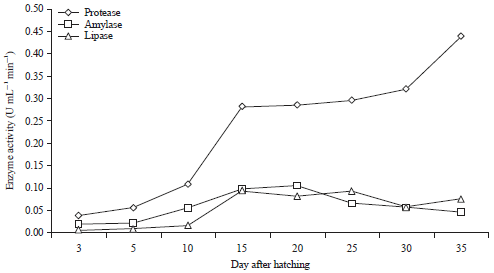Image for - Enzyme Digestive Activities During Ontogeny in Marosatherina ladigesi Larvae