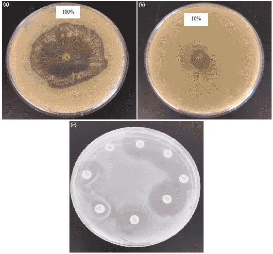 Image for - Bacteriostatic and Bactericidal Activity of Deer Musk onMultidrug Resistance Bacteria