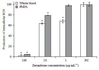 Image for - Immunomodulation of Zerumbone via Decreasing the Productionof Reactive Oxygen Species from Immune Cells